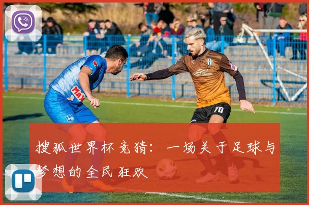 搜狐世界杯竞猜:一场关于足球与梦想的全民狂欢