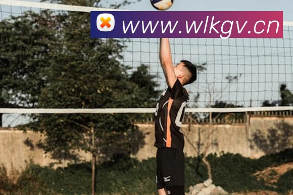 乐鱼网页版在线登录官网平台生态图