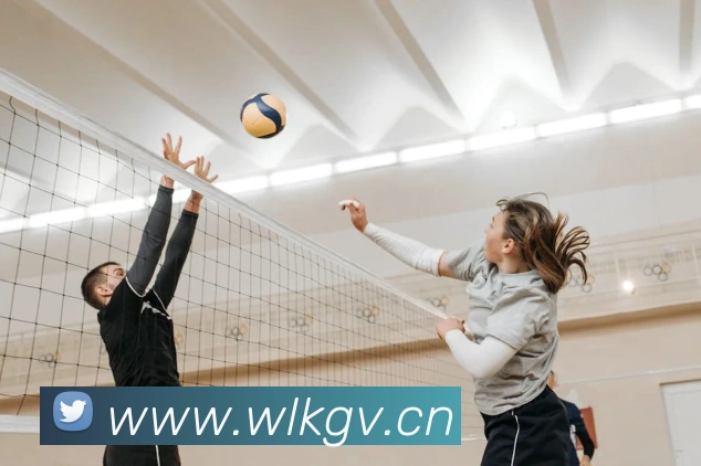 乐鱼网页版在线登录官网全站App